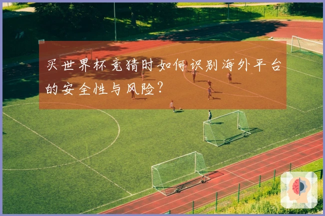 买世界杯竞猜时如何识别海外平台的安全性与风险？