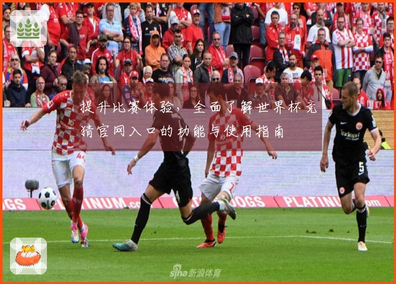 提升比赛体验，全面了解世界杯竞猜官网入口的功能与使用指南