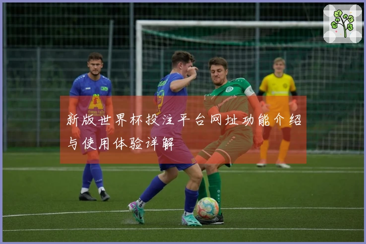 新版世界杯投注平台网址功能介绍与使用体验详解