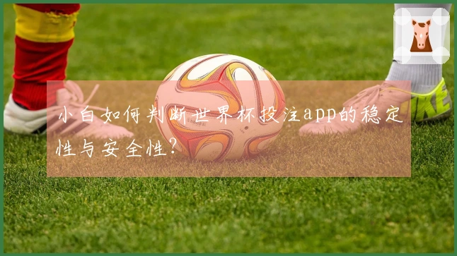 小白如何判断世界杯投注app的稳定性与安全性？