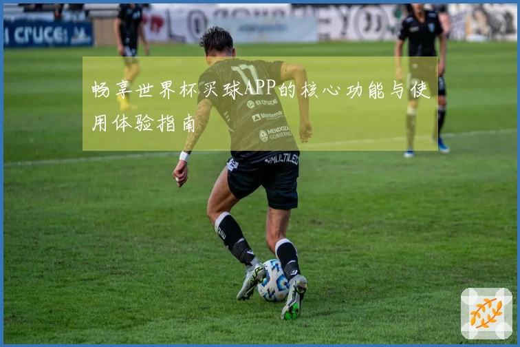 畅享世界杯买球APP的核心功能与使用体验指南