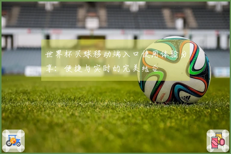世界杯买球移动端入口使用体验分享:便捷与实时的完美结合