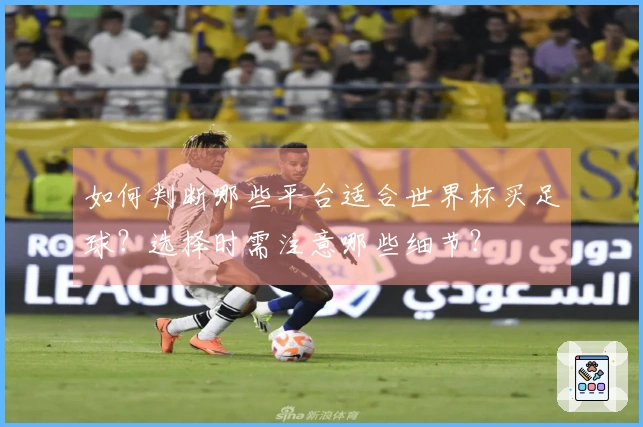 如何判断哪些平台适合世界杯买足球？选择时需注意哪些细节？