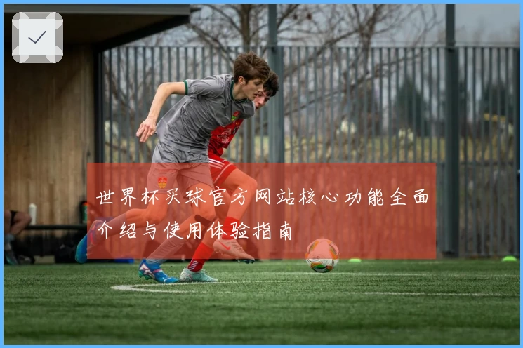 世界杯买球官方网站核心功能全面介绍与使用体验指南