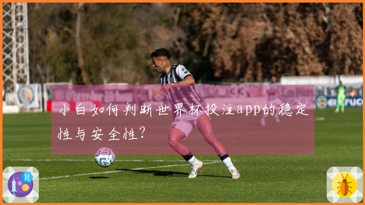小白如何判断世界杯投注app的稳定性与安全性？