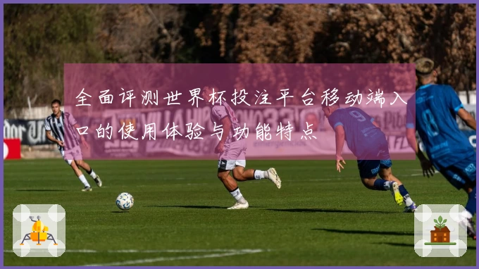 全面评测世界杯投注平台移动端入口的使用体验与功能特点