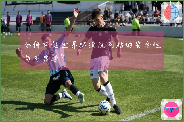 如何评估世界杯投注网站的安全性与可靠性？