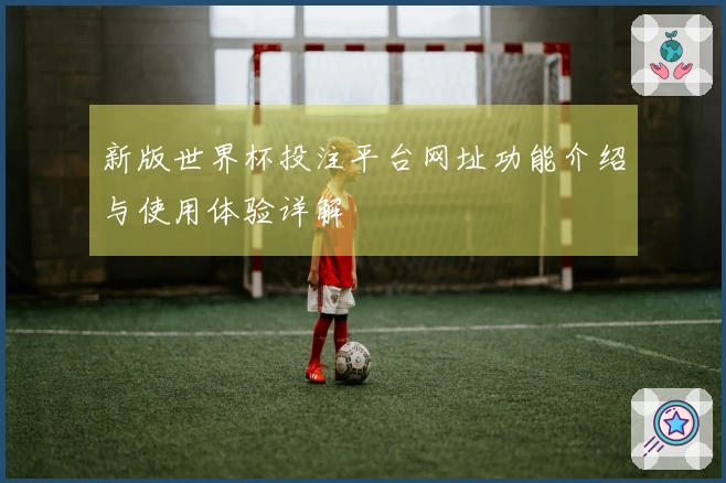 新版世界杯投注平台网址功能介绍与使用体验详解