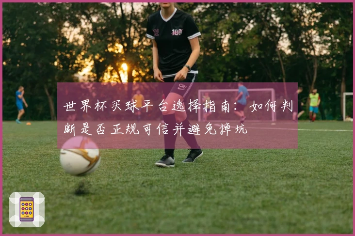 世界杯买球平台选择指南：如何判断是否正规可信并避免掉坑