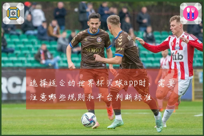 选择适合的世界杯买球app时，需要注意哪些规则和平台判断标准