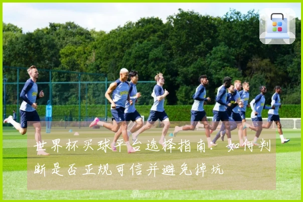 世界杯买球平台选择指南：如何判断是否正规可信并避免掉坑