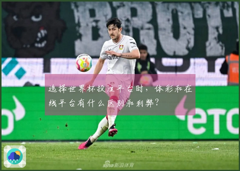 选择世界杯投注平台时，体彩和在线平台有什么区别和利弊？