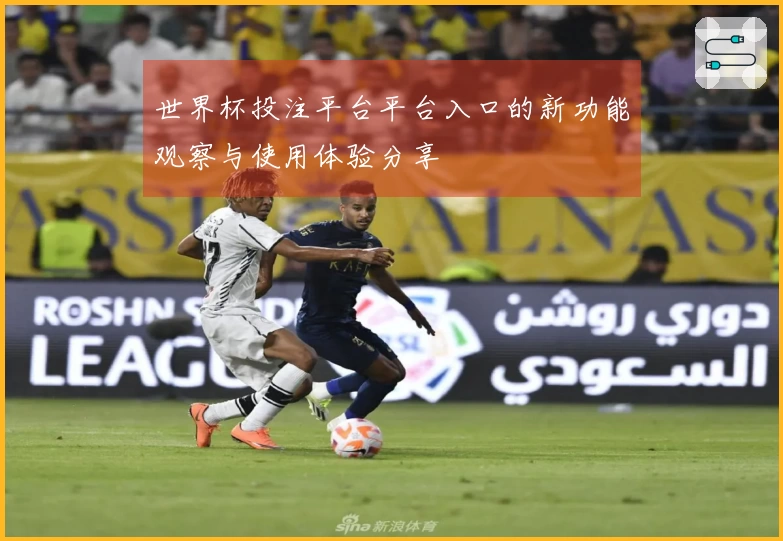 世界杯投注平台平台入口的新功能观察与使用体验分享