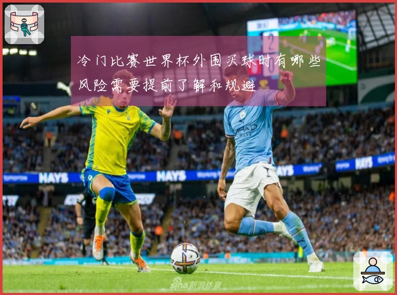 冷门比赛世界杯外围买球时有哪些风险需要提前了解和规避