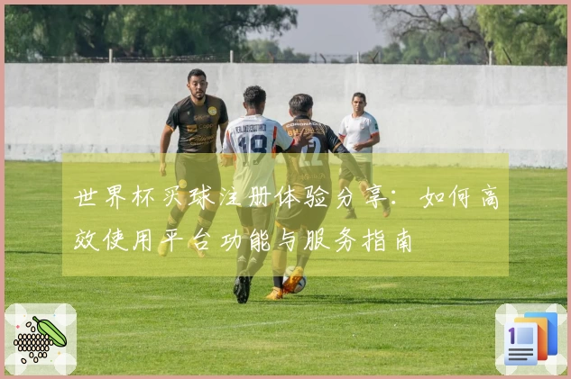 世界杯买球注册体验分享：如何高效使用平台功能与服务指南