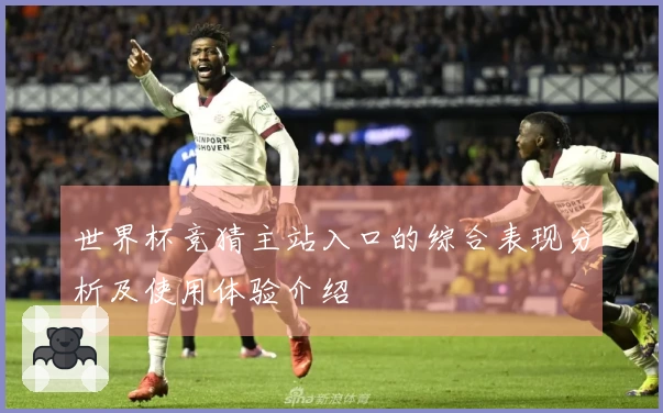 世界杯竞猜主站入口的综合表现分析及使用体验介绍