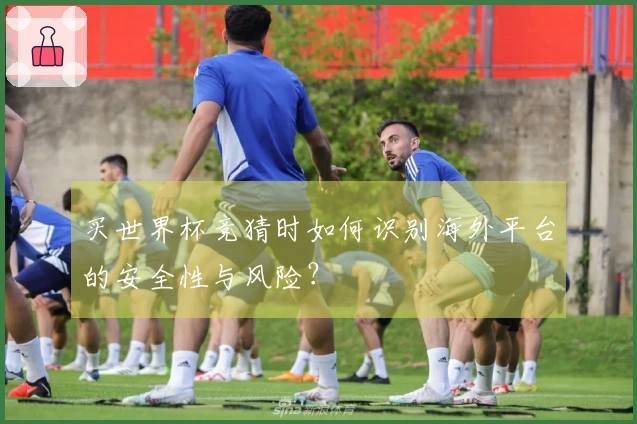 买世界杯竞猜时如何识别海外平台的安全性与风险？