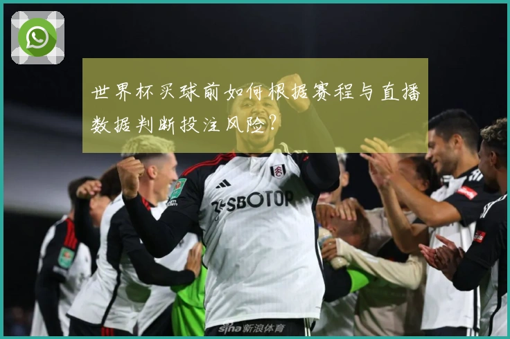 世界杯买球前如何根据赛程与直播数据判断投注风险？