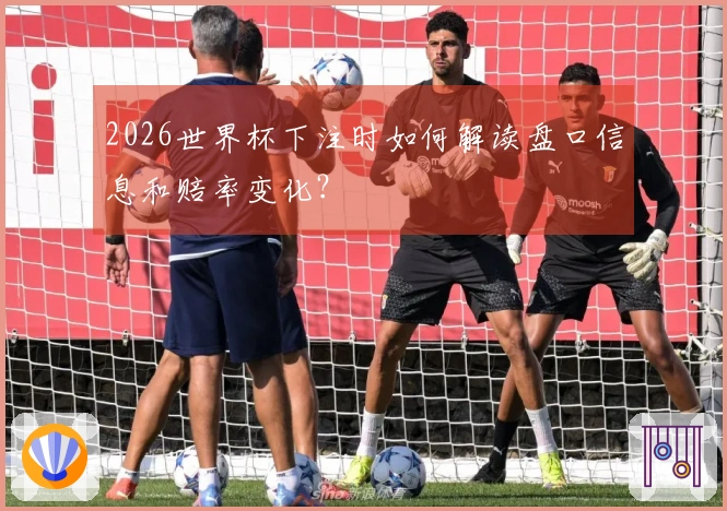 2026世界杯下注时如何解读盘口信息和赔率变化？