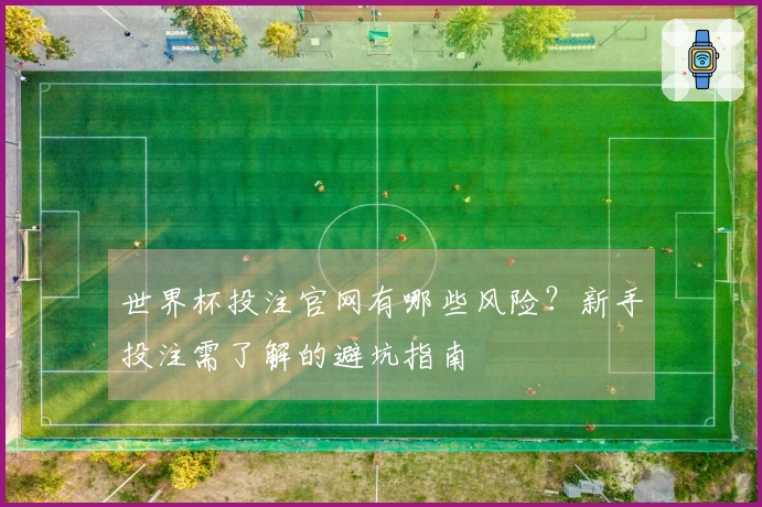 世界杯投注官网有哪些风险？新手投注需了解的避坑指南